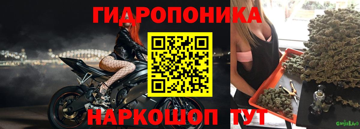 МАРИХУАНА семена Ивантеевка
